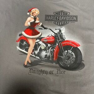 Harley-Davidson Naughty or Nice 2008 Graphic T-Shirt Wild Fire Ride‎ Chicago XL